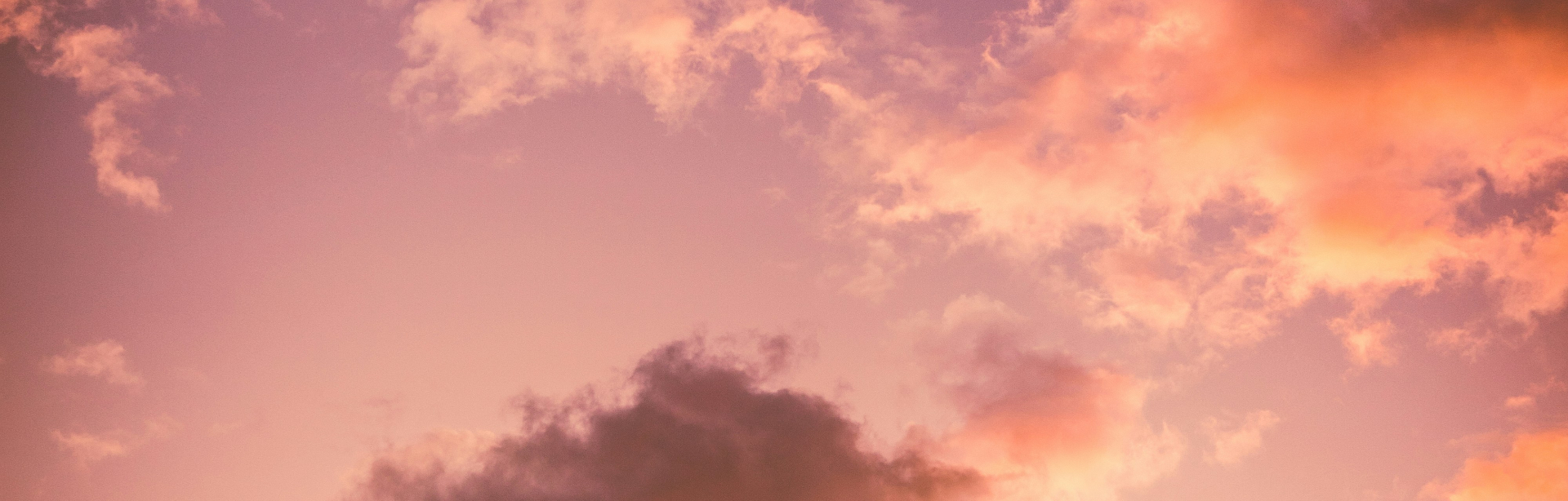 banner image